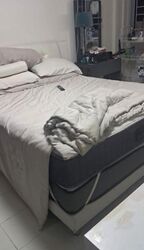 Blk 409 Yishun Ring Road (Yishun), HDB 3 Rooms #614351161